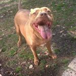 Profile Picture of Robert Dorian (@onb420) on Instagram