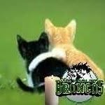 Profile Picture of Joanne Briere (@joannebriere) on Instagram