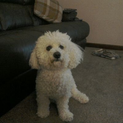 Profile Picture of John Grant Drummond (@JohnGrantDrumm2) on Twitter