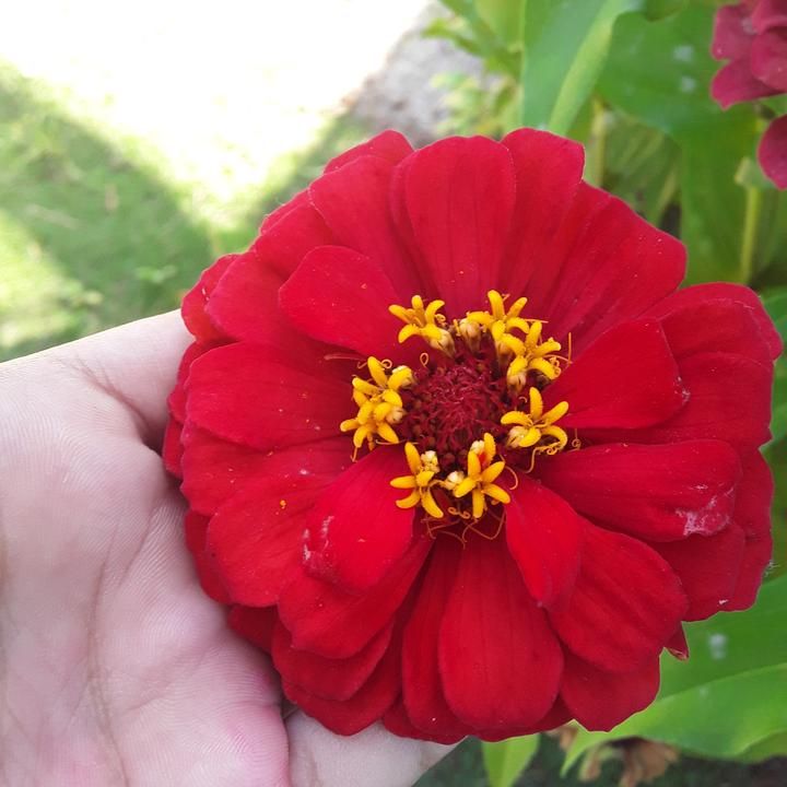 Profile Picture of SonyaPotts (@faviaoryrjq) on Tiktok