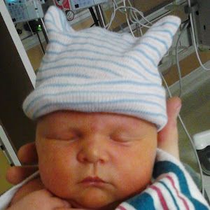 Profile Picture of scotstubblefield (@scotstubblefield) on Tiktok