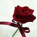 Profile Picture of Rosa Botello (@rosamariabotell) on Pinterest