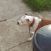 Profile Picture of Teddy Benson (@teddy.benson.5264) on Facebook