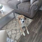 Profile Picture of Mark Zwicker (@mark.zwicker.359) on Instagram