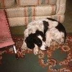 Profile Picture of John Rumney (@john.rumney) on Instagram