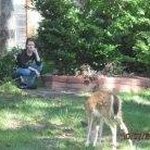 Profile Picture of Julia Karabaic Chaney (@jlkarthistory5779) on Instagram