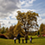 Profile Picture of david hines (@dvdhines) on Flickr