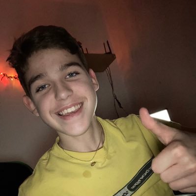 Profile Picture of David Tříska (@davidtriska1337) on Twitter