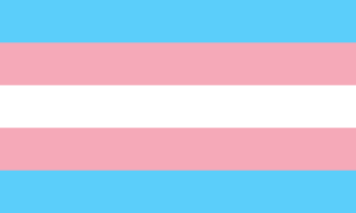 Profile Picture of Transgender flagon Wikipedia