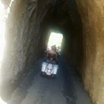 Profile Picture of Steve Harlow (@mistercamaro) on Instagram