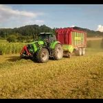 Profile Picture of Benjamin Bölz (@benjamin_bolz) on Instagram