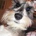 Profile Picture of Sherry McRae (@sherry.mcrae.98) on Facebook