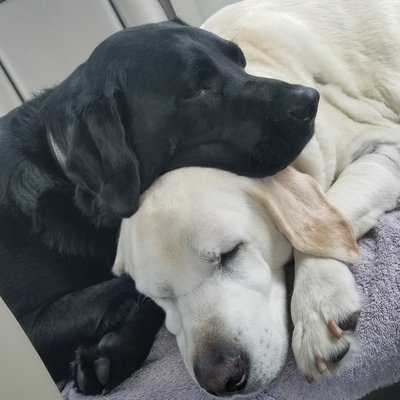 Profile Picture of Michael Eatmon (@cal_heel) on Twitter