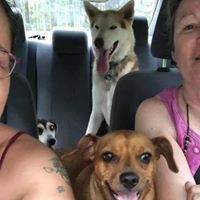 Profile Picture of Vickie Burr (@vickie-burr) on Quora