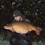 Profile Picture of Thomas Dewe (@tommy_carper) on Instagram