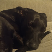 Profile Picture of David Snowden (@davidsnowden3060) on Youtube