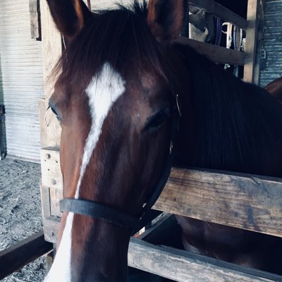 Profile Picture of Isabelle Alvarez (@Isabell35377188) on Twitter