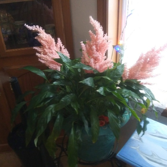 Profile Picture of Nancy Hunt (@nah4711) on Poshmark