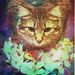 Profile Picture of Noey Elias (@noeyelias) on Pinterest