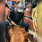 Profile Picture of mike Escobedo (@mike_escbedo12) on Instagram