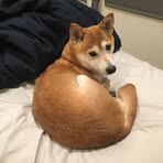 Profile Picture of Paula Decker (@Paula-Decker) on Facebook