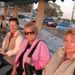 Profile Picture of Gina Bessenbacher (@brutus1) on Pinterest