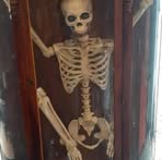 Profile Picture of Stephanie Carlson (@Stephanie-Carlson) on Facebook