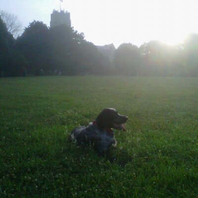Profile Picture of Adam Bissell (@ADAM_L_B) on Twitter
