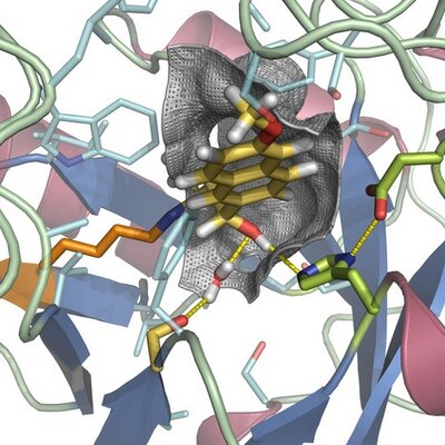 Profile Picture of Eric Althoff (@eaalthof) on Twitter