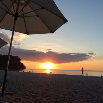 Profile Picture of Mark Marquez (@markbmarquez) on Twitter