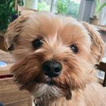 Profile Picture of Barry Halbritter (@barryforpresident) on Instagram