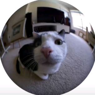 Profile Picture of Alice (@alicewaldrn) on Tiktok