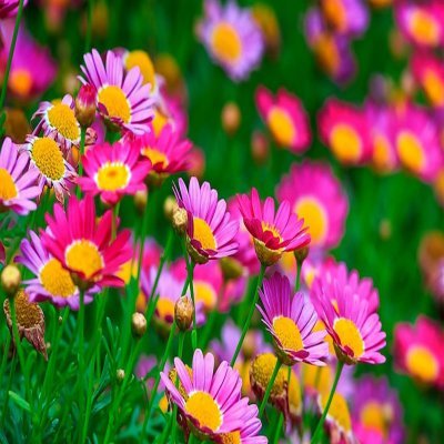 Terri Greig - Twitter Profile Picture of Terri Greig (@Tara_tonya) on Twitter