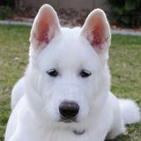 Profile Picture of Shari Schugardt (@shari-schugardt) on Quora