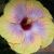 Profile Picture of Robert Rutty (@robertrutty1) on Pinterest