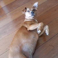 Profile Picture of Fernando Lage (@fernando-lage-2) on Quora