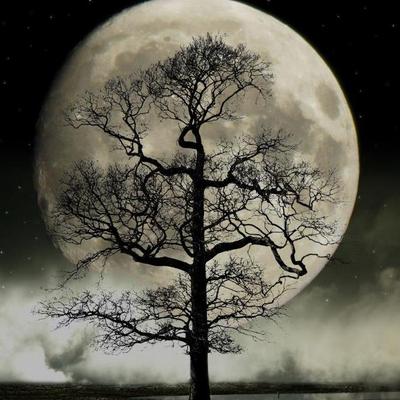 Profile Picture of Sean Shanahan (@PoemsOfShanahan) on Twitter