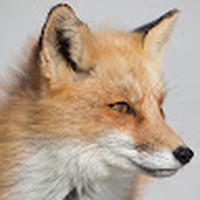 Profile Picture of Alice Staley (@alice-staley-7) on Quora