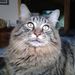 Profile Picture of Cathleen Willey-Curtis (@catgw64) on Pinterest