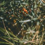 Profile Picture of sam rudkin-millichamp (@samrudkinmillichamp) on Instagram