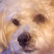 Profile Picture of Joel Pete (@joelpete4357) on Youtube