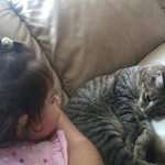 Profile Picture of Hala Hussein (@hala.hussein.39108) on Instagram