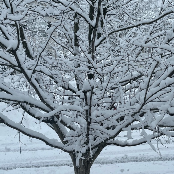 Profile Picture of Arindam Roy (@obiwan924) on Poshmark