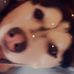 Profile Picture of Justin Jeffers (@justin.jeffers.1447) on Facebook