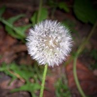 Profile Picture of David Sleeter (@david-sleeter) on Quora