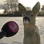 Profile Picture of alicecooperismygranda (@alicecooperismygranda) on Instagram