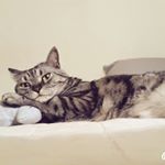 koogikoocha - Instagram Profile Picture of koogikoocha (@koogikoocha) on Instagram