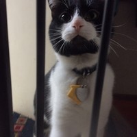 Profile Picture of Julia Kimes (@julia-kimes) on Quora