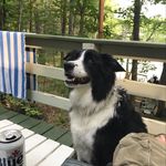 Profile Picture of Andy Butka (@andrewbutka) on Instagram