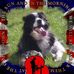 Profile Picture of Thomas Kilpatrick (@thomas.kilpatrick.714) on Facebook